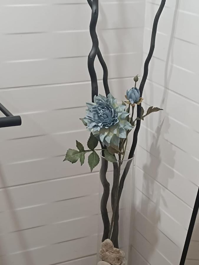 Apartament Anfiteatre Roma Tarragona Dış mekan fotoğraf